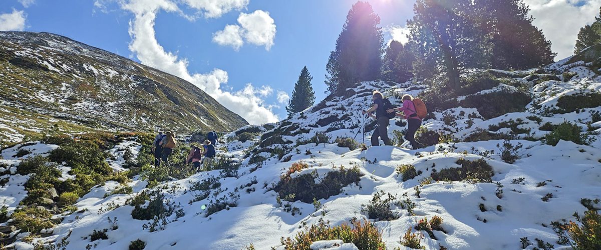 Bergwandelen